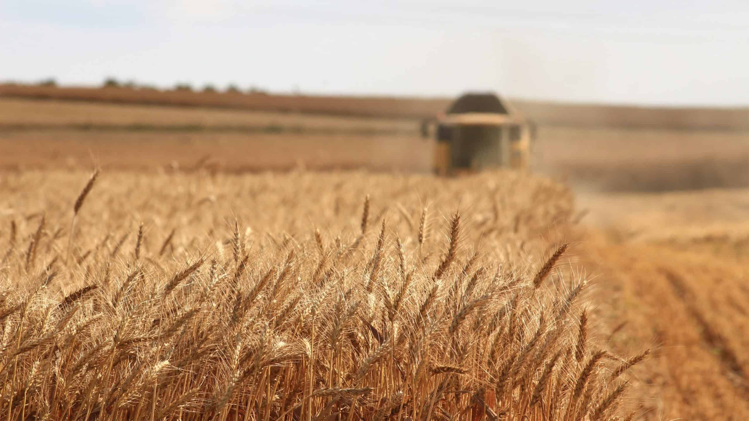 Přečtete si více ze článku EU zvažuje dotování přepravy ukrajinského obilí přes okolní země