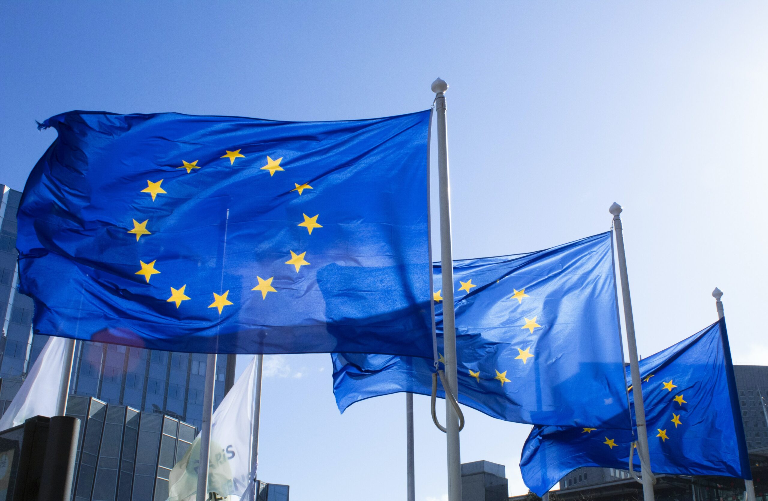 Přečtete si více ze článku Žáci ZŠ Sezemice poznali základy EU a oslavili Den Evropy!