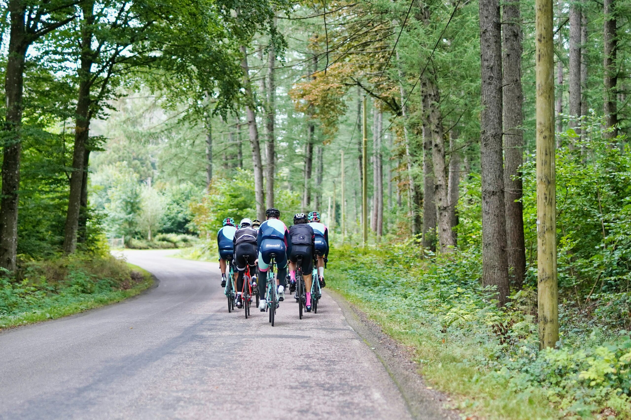 Přečtete si více ze článku Chystané cyklotrasy pro horská kola mezi Saskem a Českem získají podporu EU