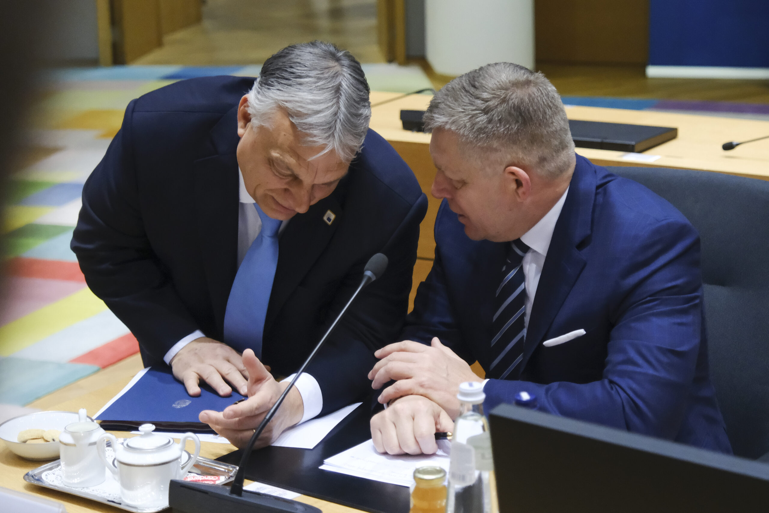Přečtete si více ze článku Pětadvacet států proti dvěma. Ministři zahraničí odsoudili Orbánovy cesty
